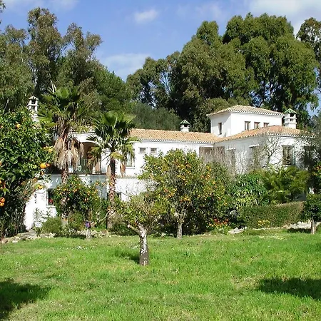 Finca San Ambrosio - Apartments In Gruener Oase Mit Terrasse, Pool, Heizung, Wifi Vejer de la Frontera Camera foto