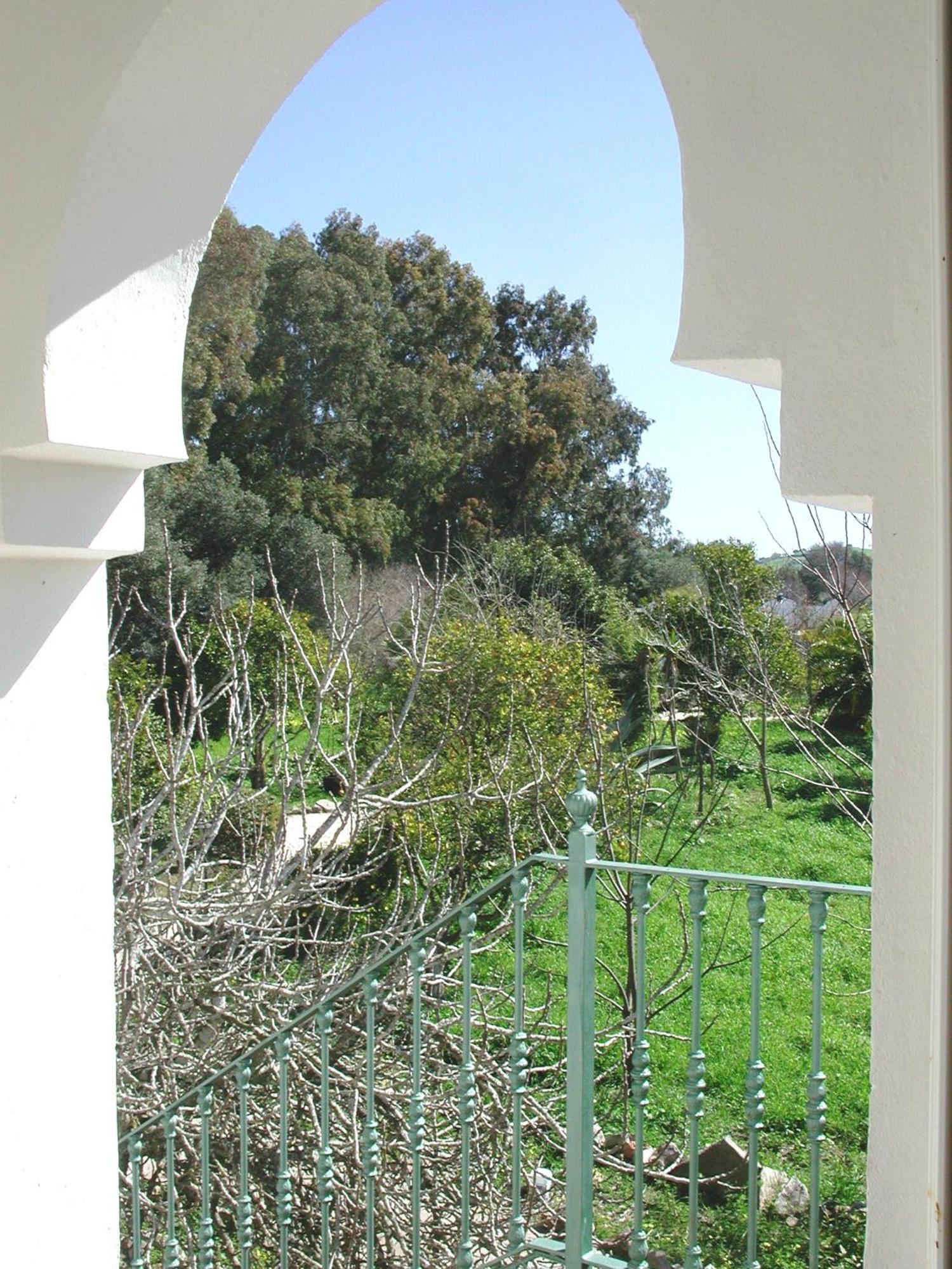 San Ambrosio - In Gruener Oase Mit Terrasse, Pool, Heizung, Wifi *
