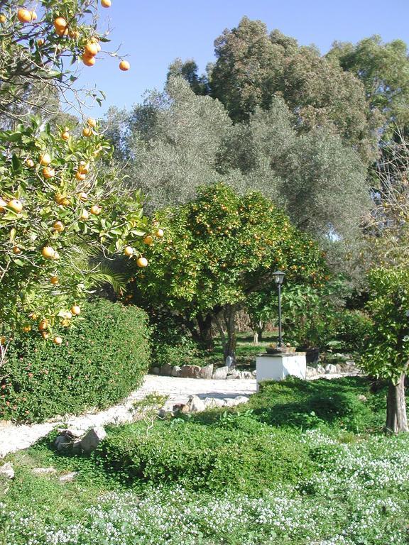 San Ambrosio - In Gruener Oase Mit Terrasse, Pool, Heizung, Wifi *