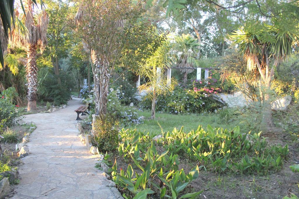 San Ambrosio - In Gruener Oase Mit Terrasse, Pool, Heizung, Wifi