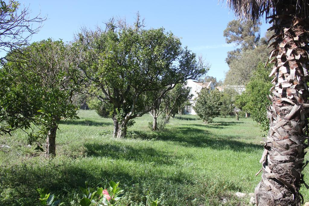 San Ambrosio - In Gruener Oase Mit Terrasse, Pool, Heizung, Wifi Apartment *