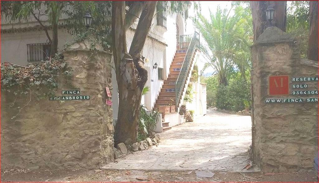 San Ambrosio - In Gruener Oase Mit Terrasse, Pool, Heizung, Wifi Apartment Vejer de la Frontera